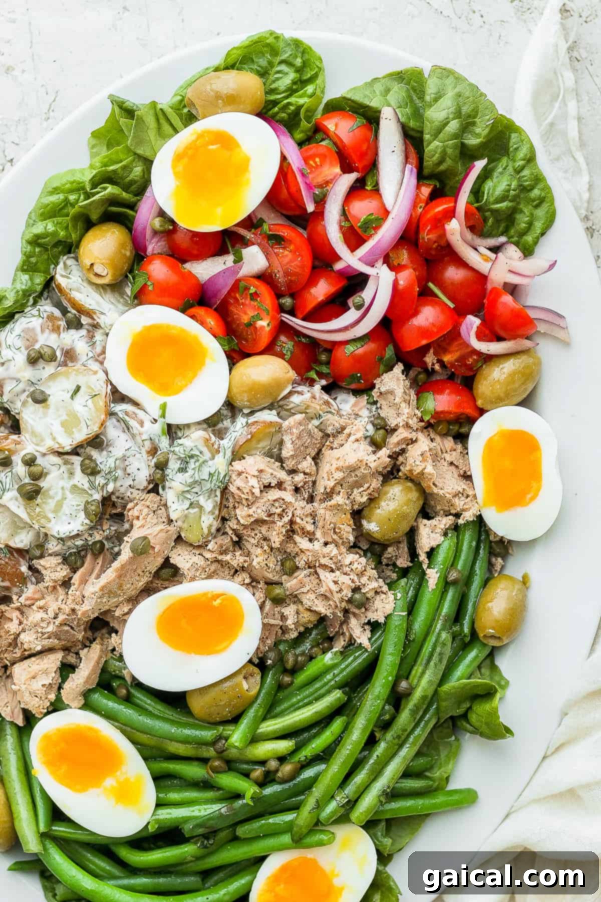 A vibrant Nicoise salad artfully arranged on a large platter, ready to be served, showcasing all its layered components.