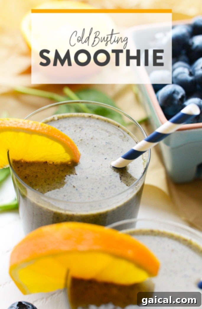 A vibrant blueberry spinach smoothie in a clear glass, garnished with fresh blueberries and a mint leaf.