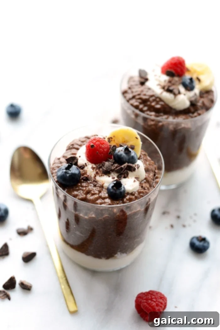 Rich Chocolate Chia Seed Pudding, perfect for a healthy dessert or breakfast.
