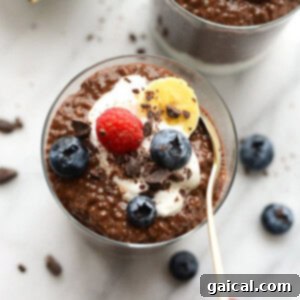Chocolate chia seed pudding with berries and a swirl of whipped cream.