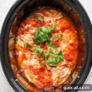 Shredded chicken taco meat, mixed with salsa and juices, inside a slow cooker.