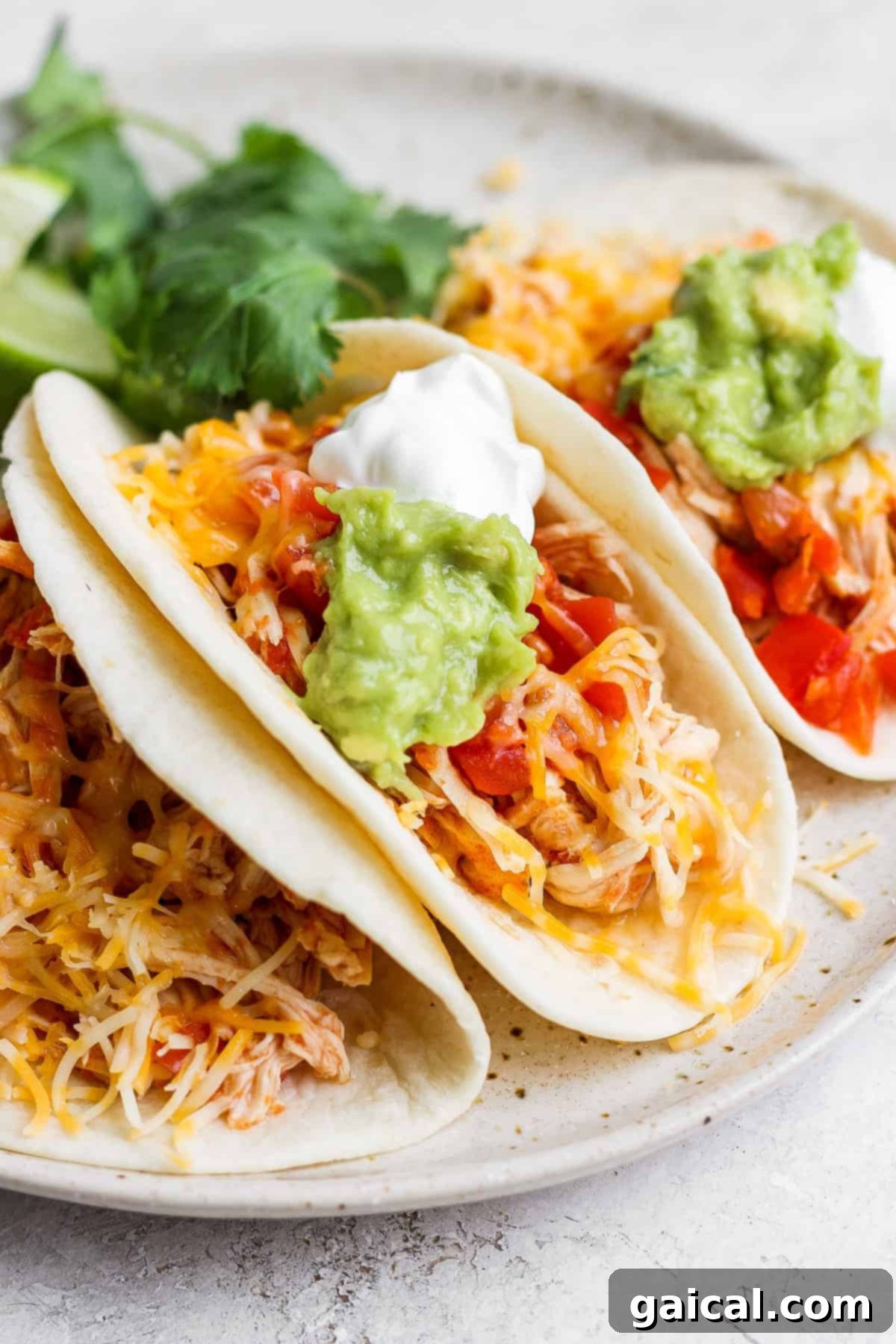 Two soft chicken tacos on a plate, garnished with shredded cheese, fresh cilantro, and a side of creamy guacamole.