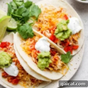 A beautifully presented plate of Crockpot Chicken Tacos, garnished with fresh toppings.