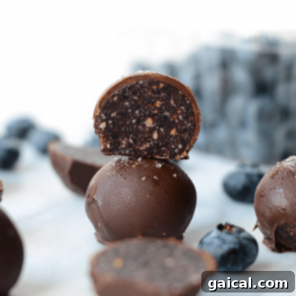 A stack of chocolate truffles with blueberries on top.