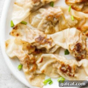 Som Tum 2 Delicious pork dumplings presented on a white plate, garnished with fresh green onions.