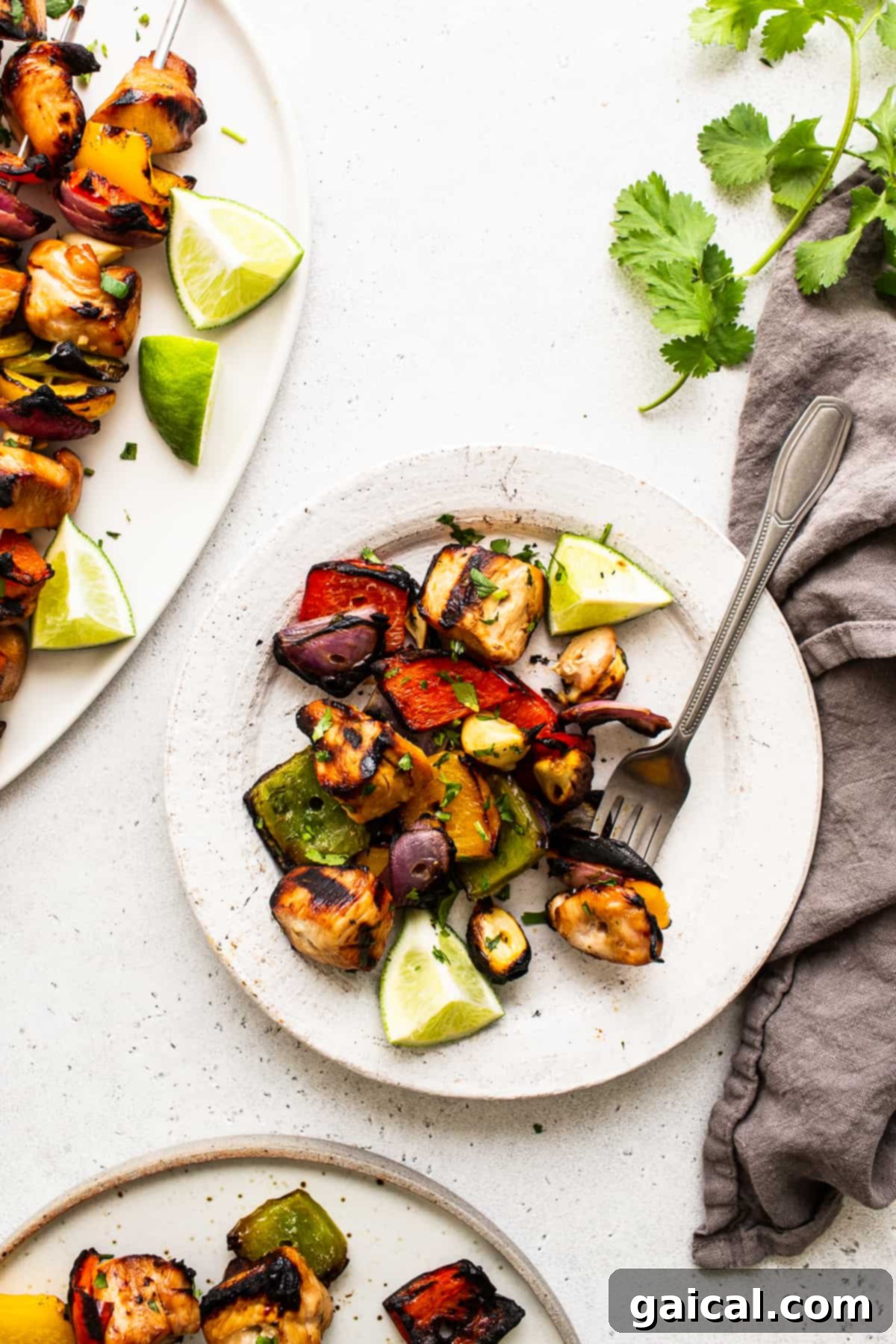 Kaleidoscope Chicken Skewers 9 A plate featuring perfectly grilled chicken and vegetables, garnished with fresh herbs.