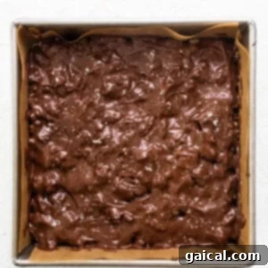 Rice Cake Dream Bars 10 Chocolate fudge brownies in a baking pan, demonstrating the chocolate topping.