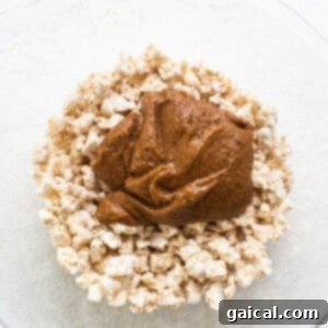 Rice Cake Dream Bars 8 A bowl of granola with peanut butter in it, illustrating the base mixture.
