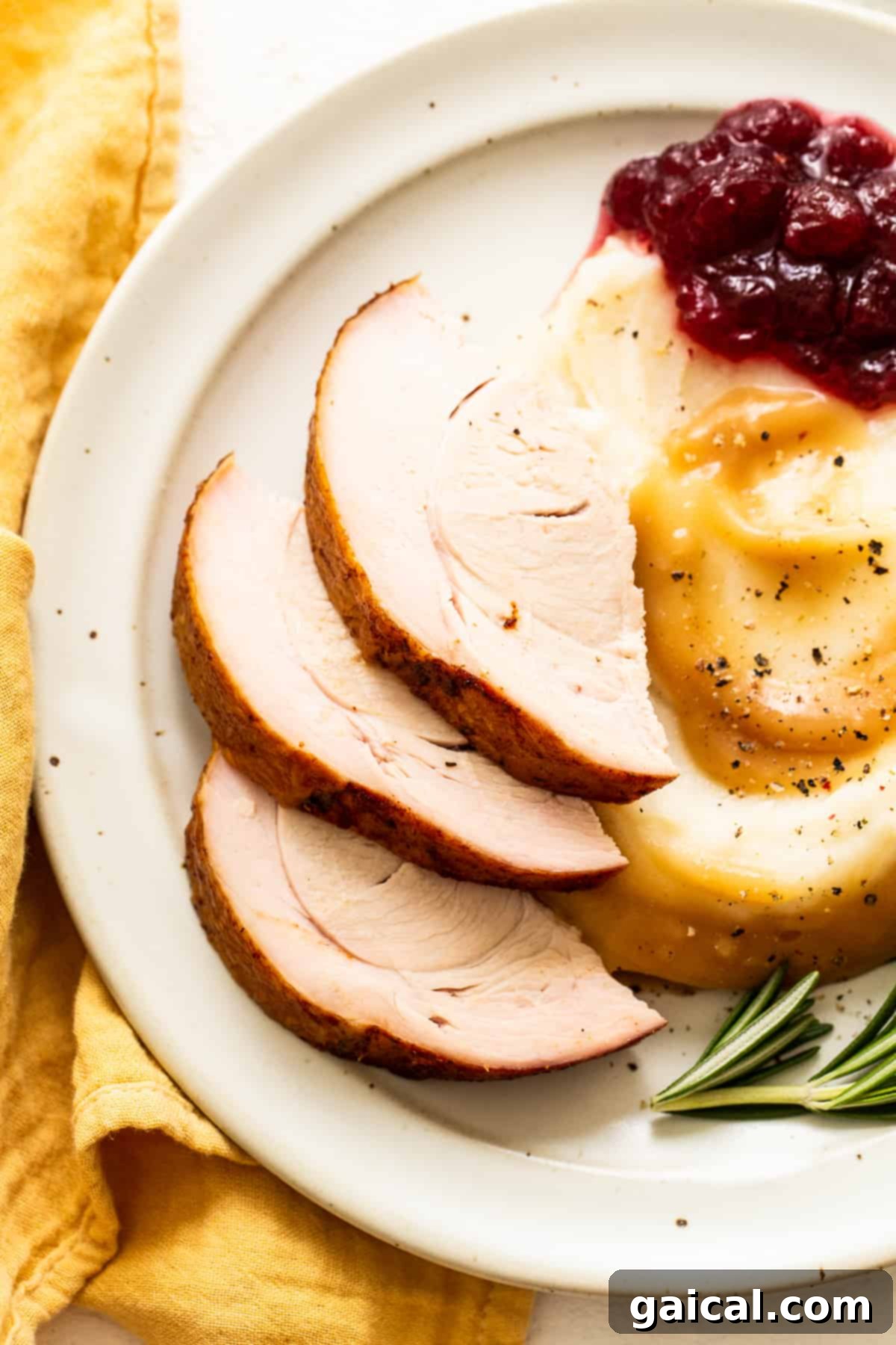 A delectable plate of sliced turkey with creamy mashed potatoes and tangy cranberry sauce, perfect for a holiday meal.
