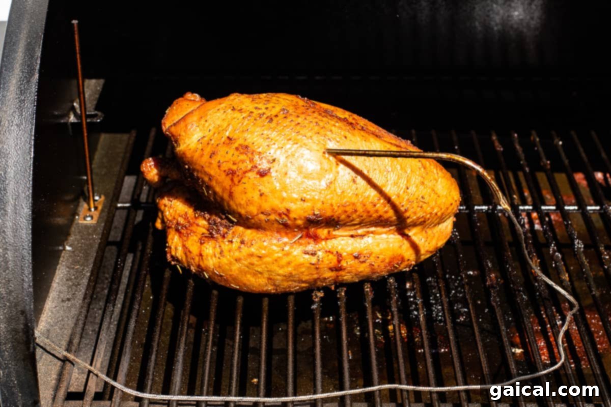 A turkey breast beautifully golden and smoking on a smoker rack.