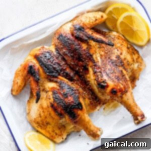 Juicy Chicken Secret 2 A perfectly grilled whole chicken on a platter, ready to be served.