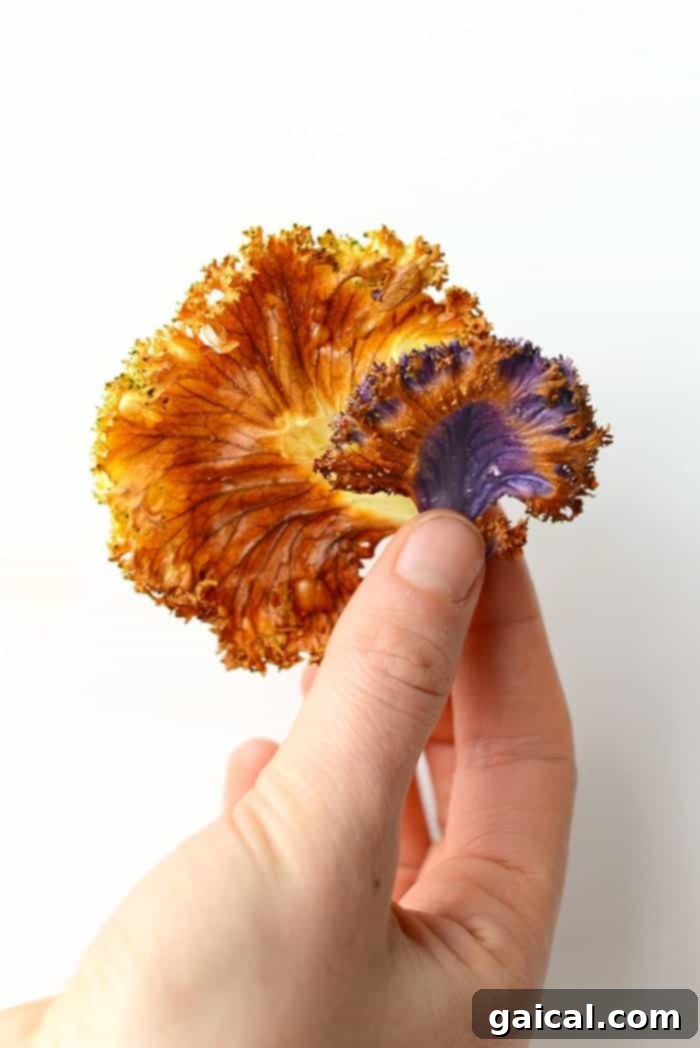 Single crispy Garlic Roasted Kale Chip close-up. A single perfectly crispy Garlic Roasted Kale Chip, ready to be eaten.