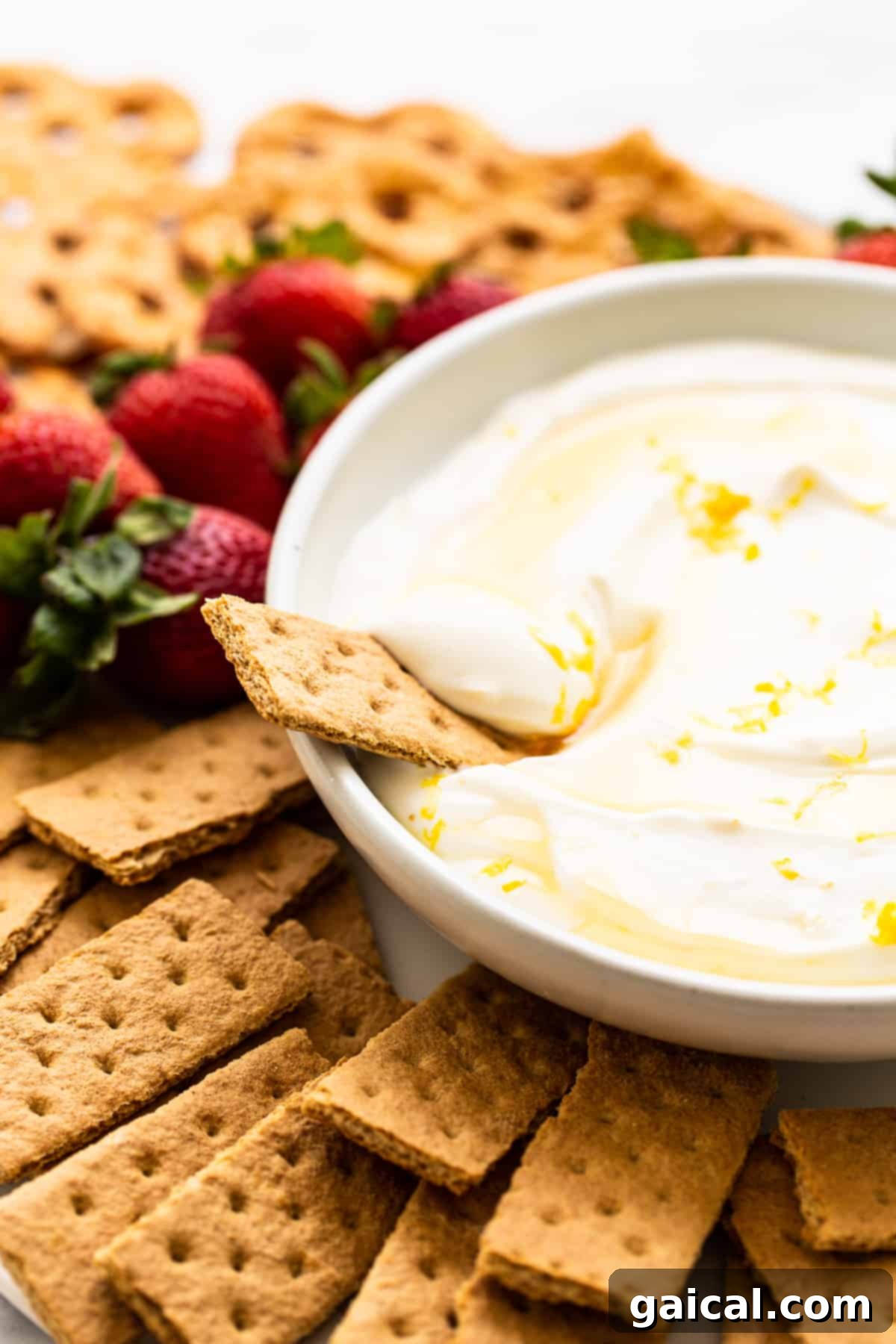 A crisp graham cracker gracefully dipped into a creamy bowl of fruit dip, highlighting its perfect consistency and inviting texture.
