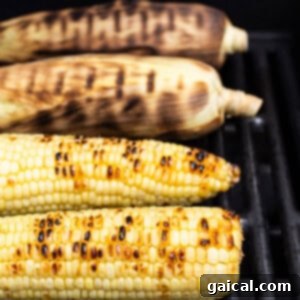 Ears of corn grilling in their husks on an outdoor grill, showing some charring on the husks.