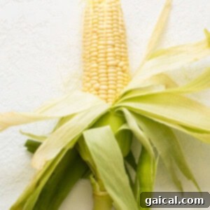 A single ear of shucked corn on a white background, with all husks and silk removed, ready for direct grilling.