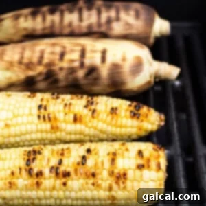 Multiple ears of shucked corn grilling directly on the grates, showing developing char marks and golden kernels.