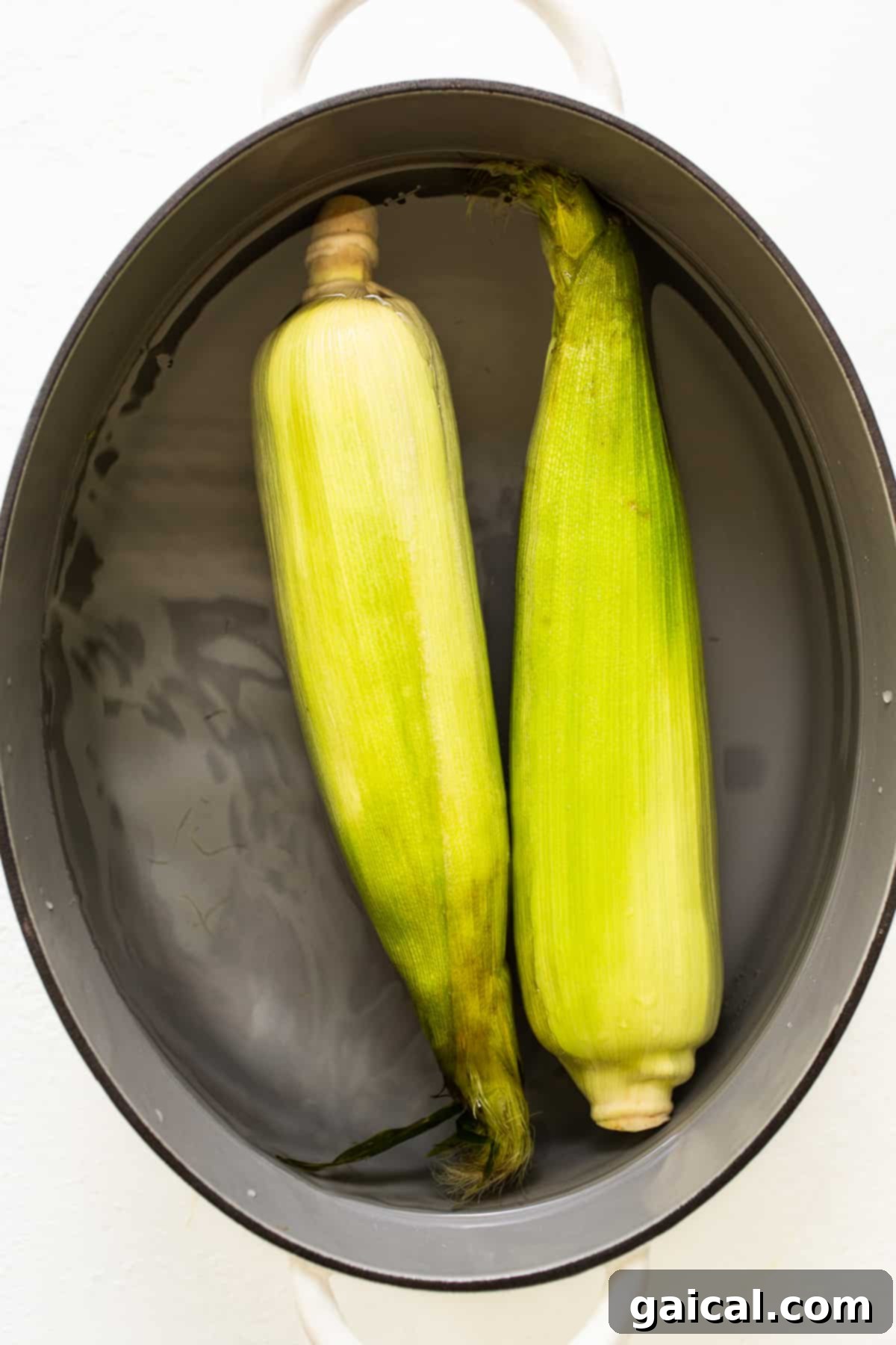 Fresh ears of corn soaking in a large blue bucket of water, a crucial step for grilling in the husk.