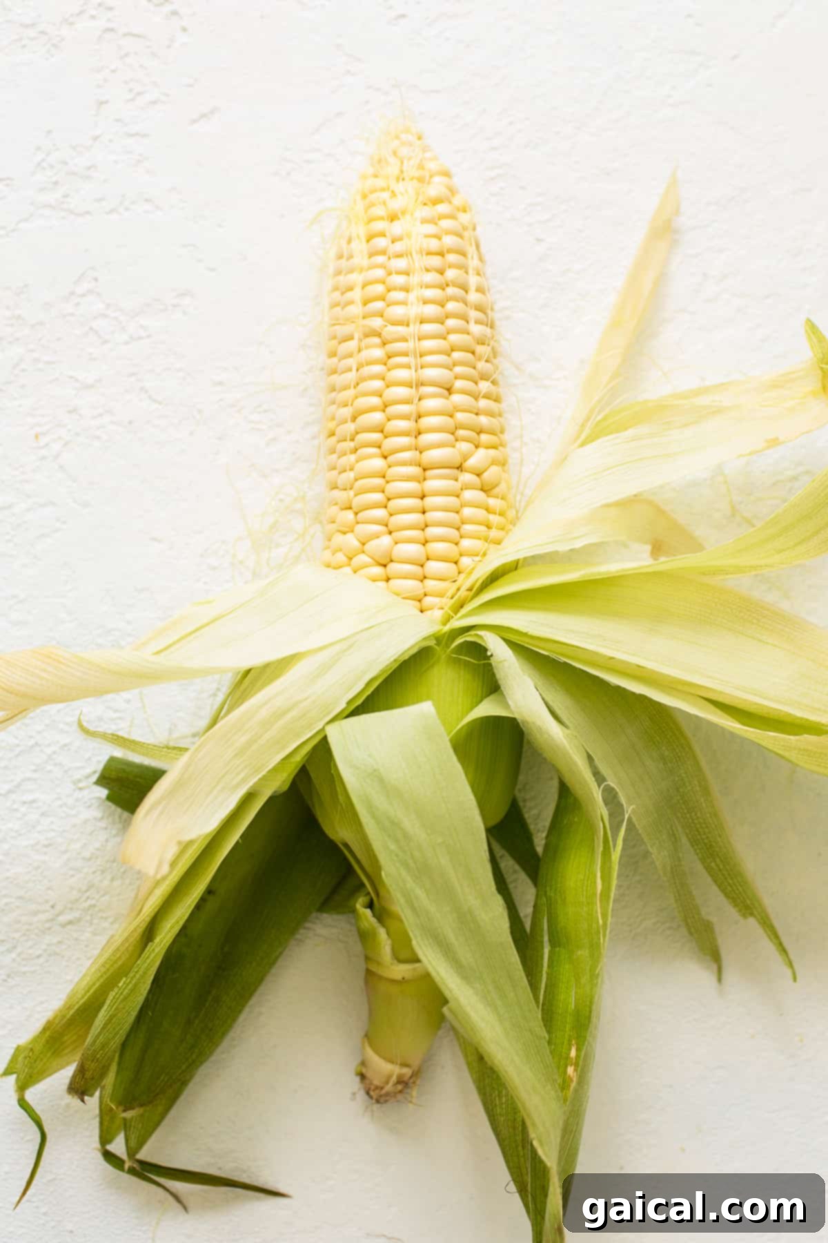 Hands shucking fresh corn on the cob, expertly removing the outer husks and silky threads.