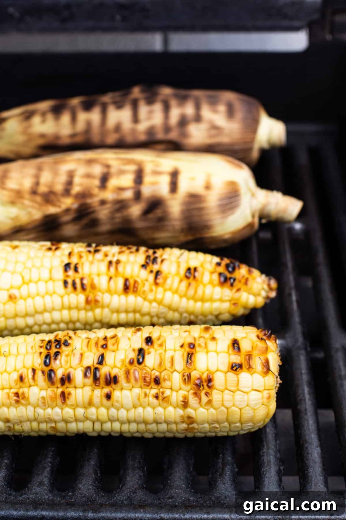 Four ears of perfectly grilled corn on the cob, showing slight charring, cooking over direct heat on a barbecue grill.