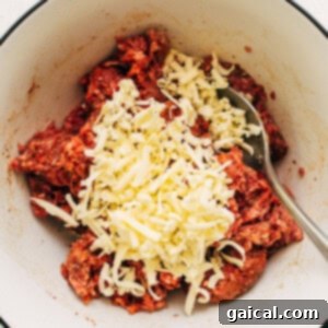 A bowl with meat and cheese in it.