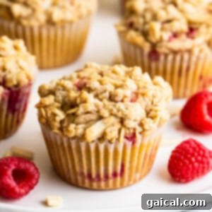A single perfectly baked raspberry muffin with a golden streusel topping on a plain background, highlighting its texture.