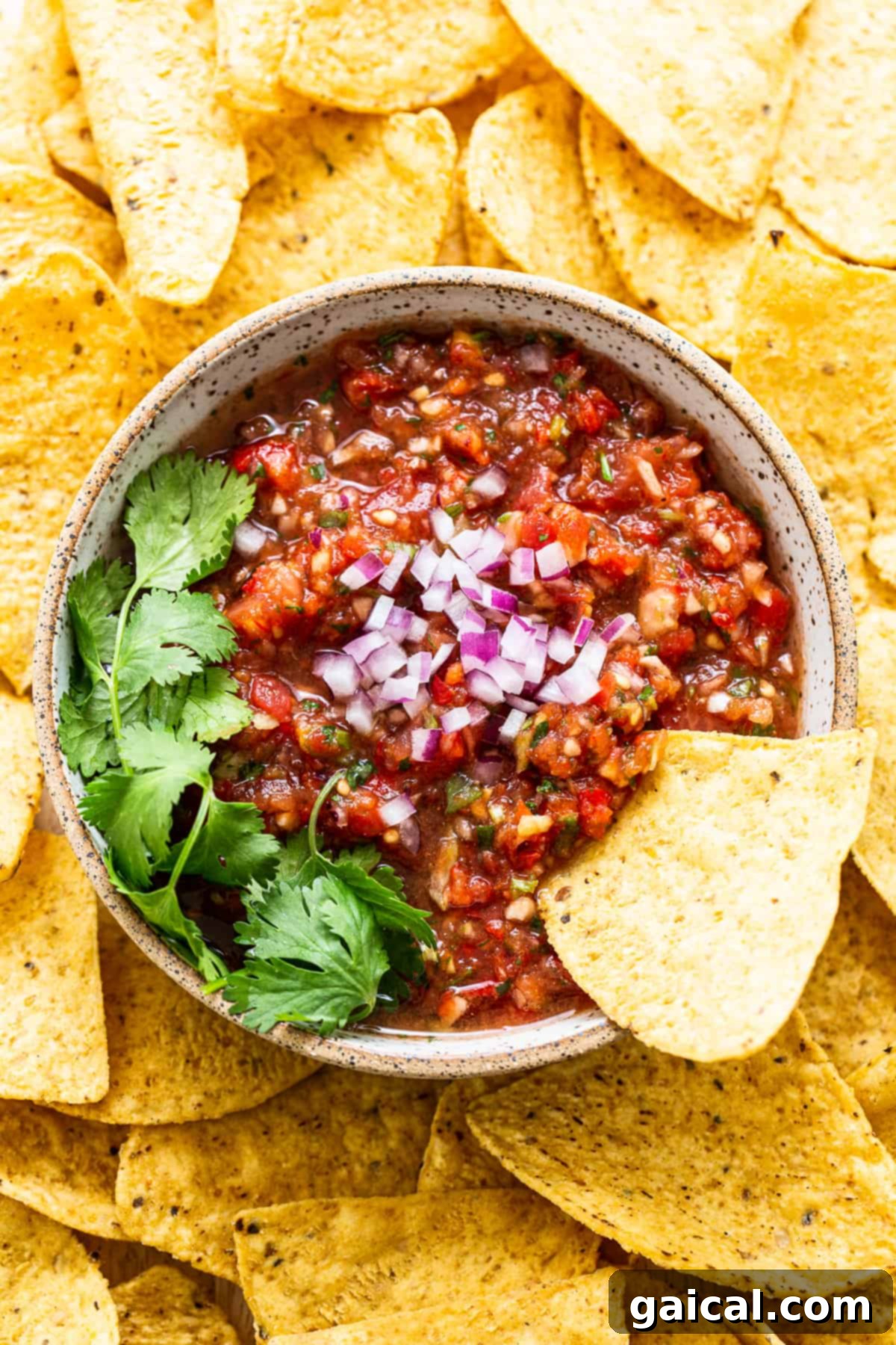 Fresh Homemade Salsa in a Bowl with Tortilla Chips A bowl of vibrant homemade salsa overflowing with fresh ingredients, served with crispy tortilla chips, inviting a delicious dip.