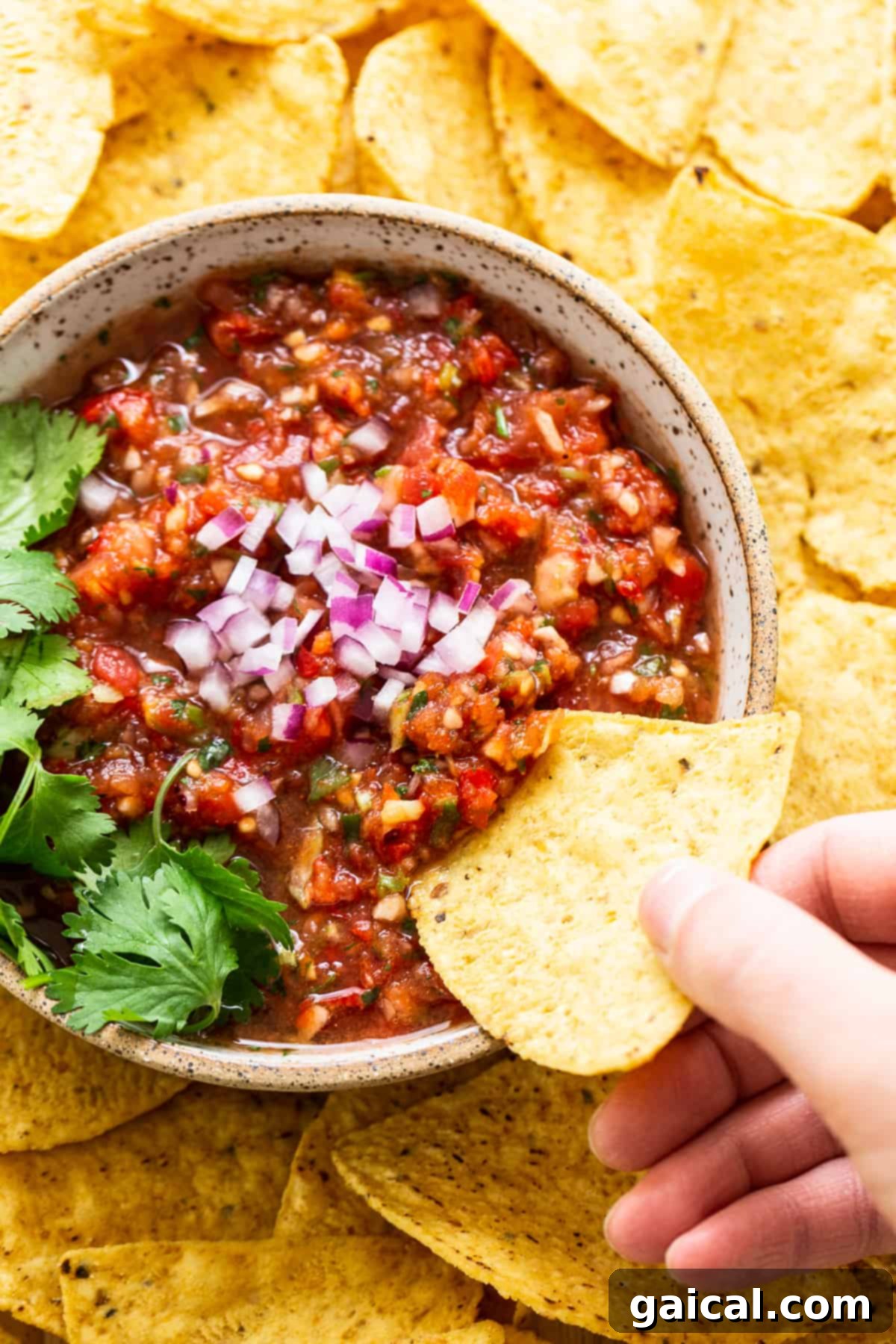 Enjoying Homemade Salsa with a Chip A hand scooping fresh homemade salsa with a crispy tortilla chip from a bowl, highlighting the chunky texture.
