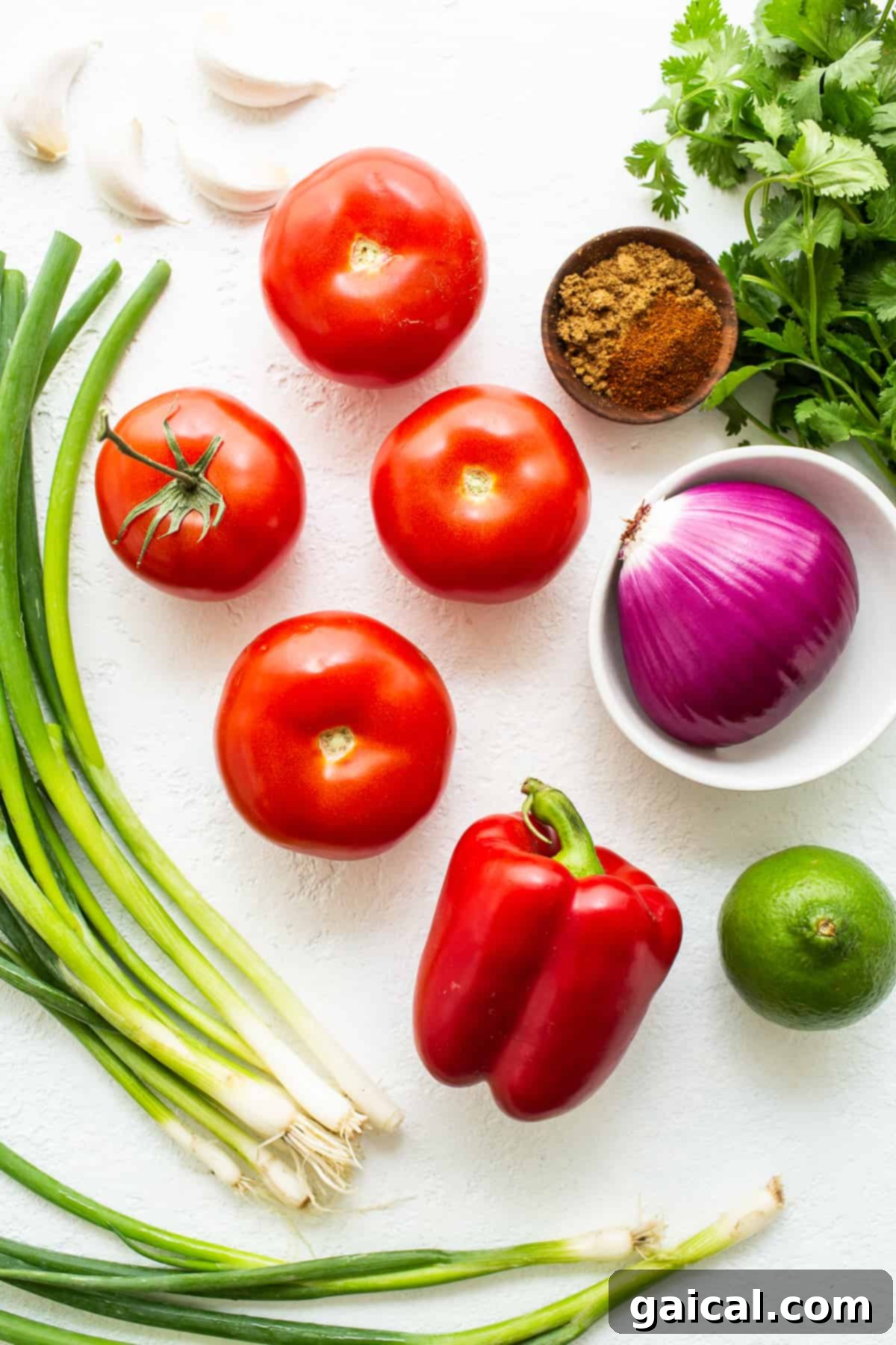 Fresh Ingredients for Homemade Salsa A colorful array of fresh salsa ingredients including ripe tomatoes, onions, garlic, cilantro, and bell peppers neatly arranged on a kitchen countertop, ready for preparation.