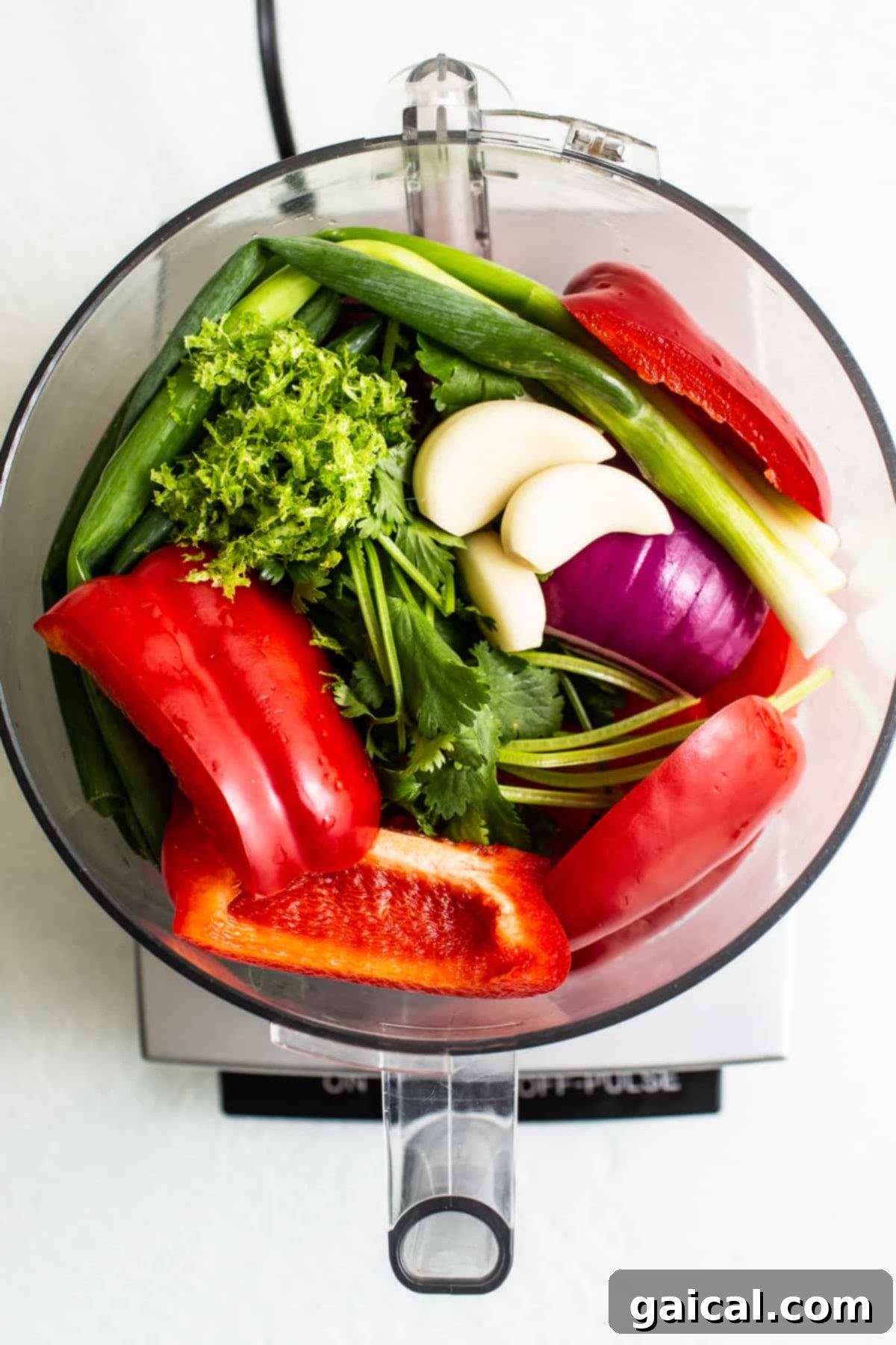 Salsa Ingredients in Food Processor A food processor bowl filled with fresh, roughly chopped vegetables for salsa, including tomatoes, onions, bell peppers, and cilantro, ready to be processed.