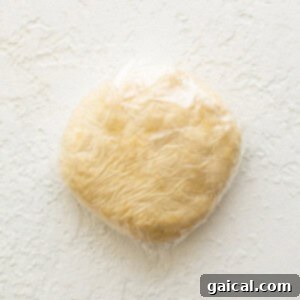 Savory Beef and Sweet Potato Empanadas 14 Empanada dough disk wrapped in plastic wrap and ready for chilling.