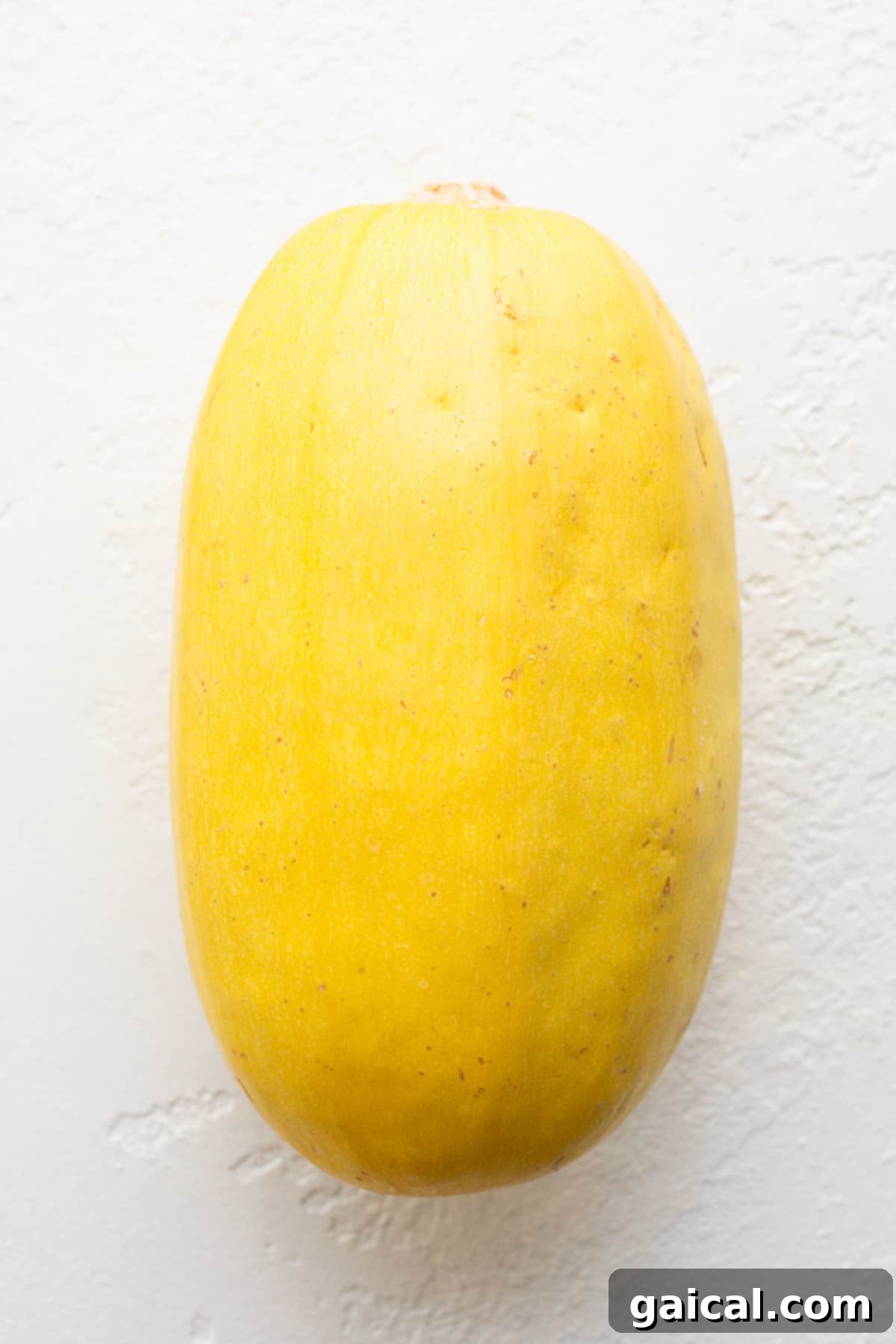 Fresh, uncooked spaghetti squash resting on a kitchen countertop, ready for preparation.