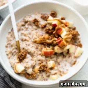 A finished bowl of apple cinnamon oatmeal, beautifully topped and ready to be served.