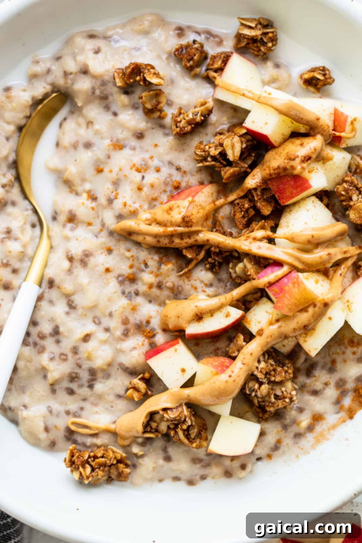 A close-up of a bowl of apple cinnamon oatmeal, generously topped with creamy nut butter and perfectly sliced fresh apples.