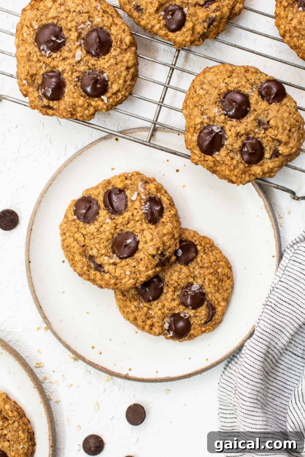 Freshly baked lactation cookies arranged beautifully on a plate.