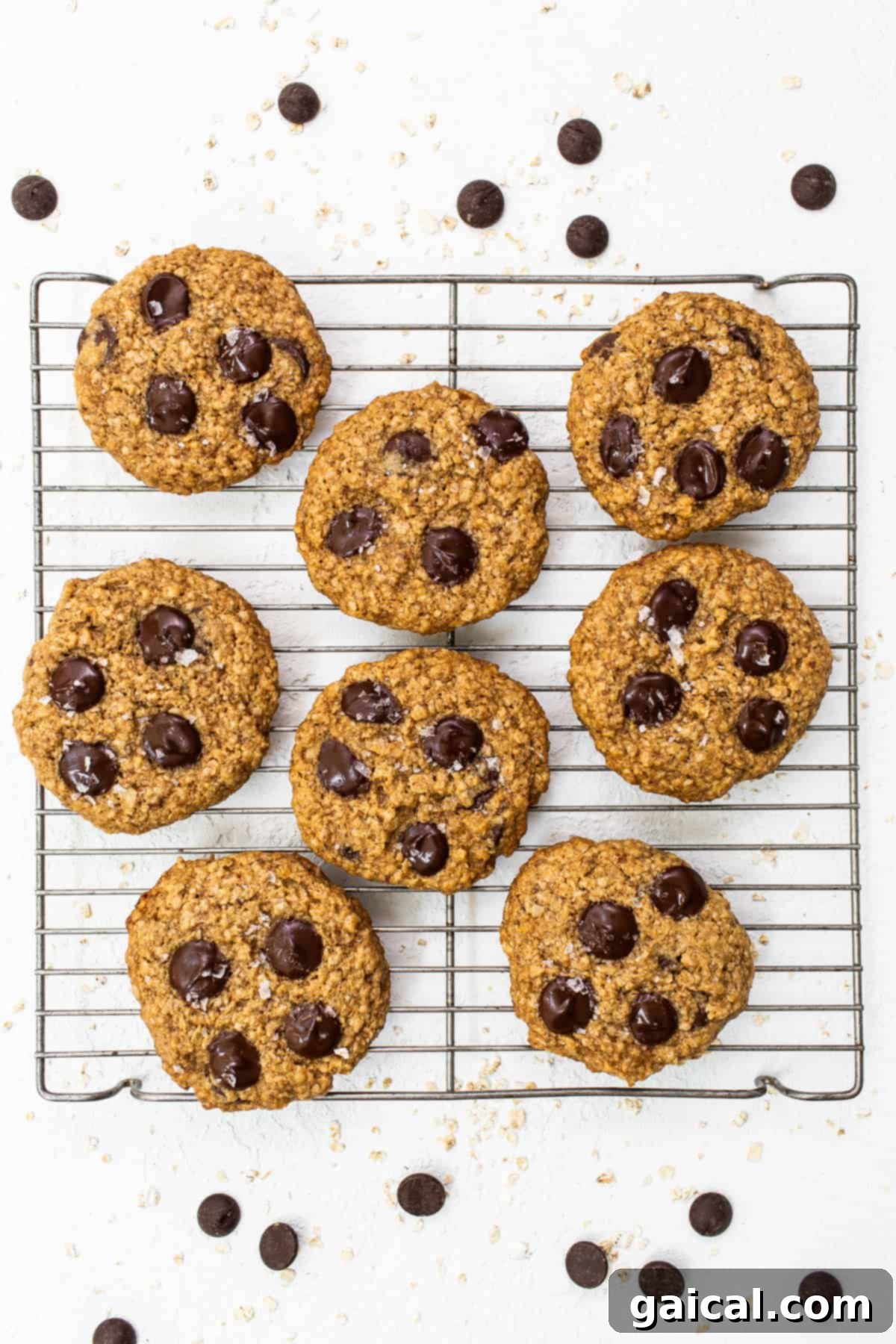 Lactation cookies cooling on a wire rack after baking.