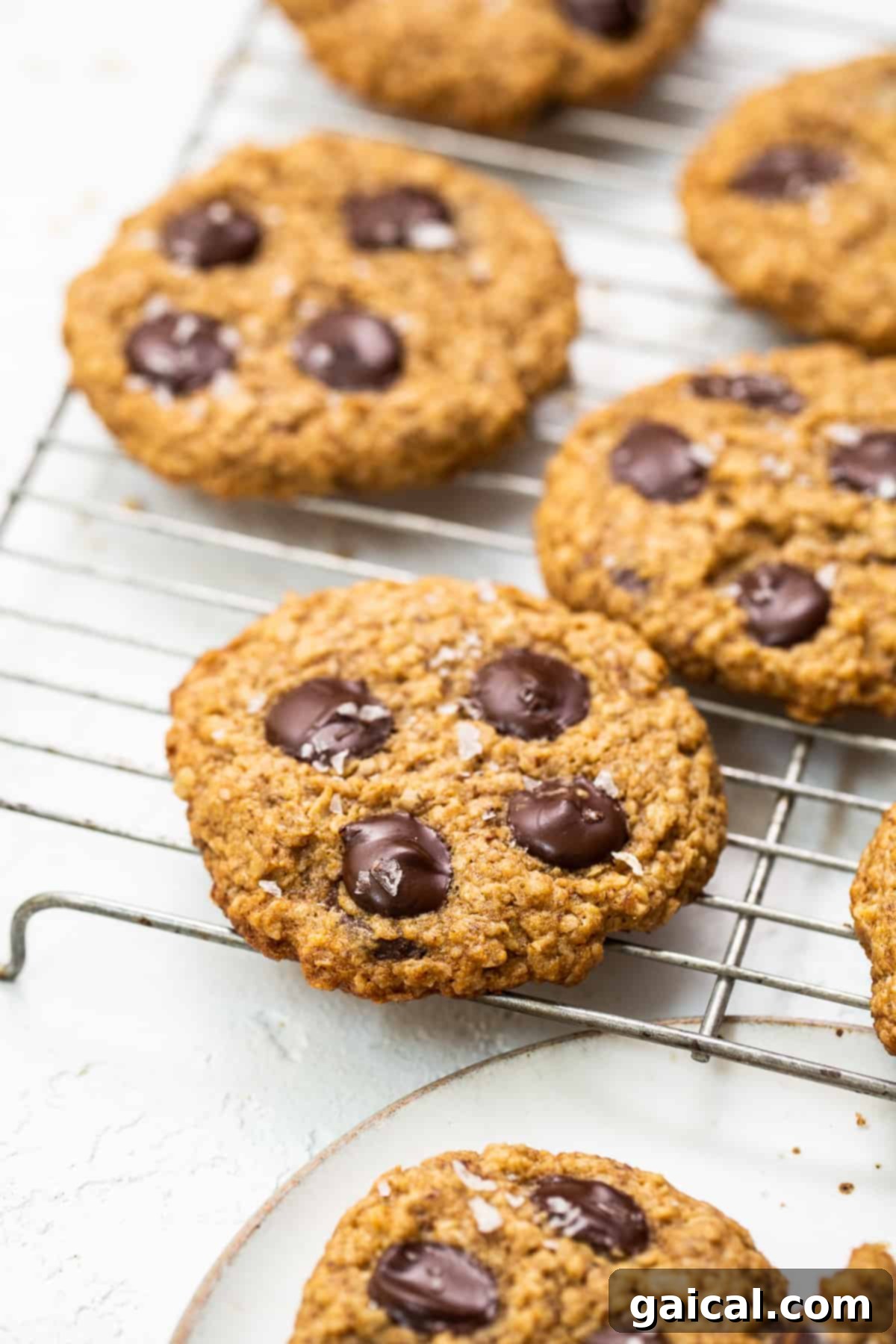 More lactation cookies arranged on a cooling rack.