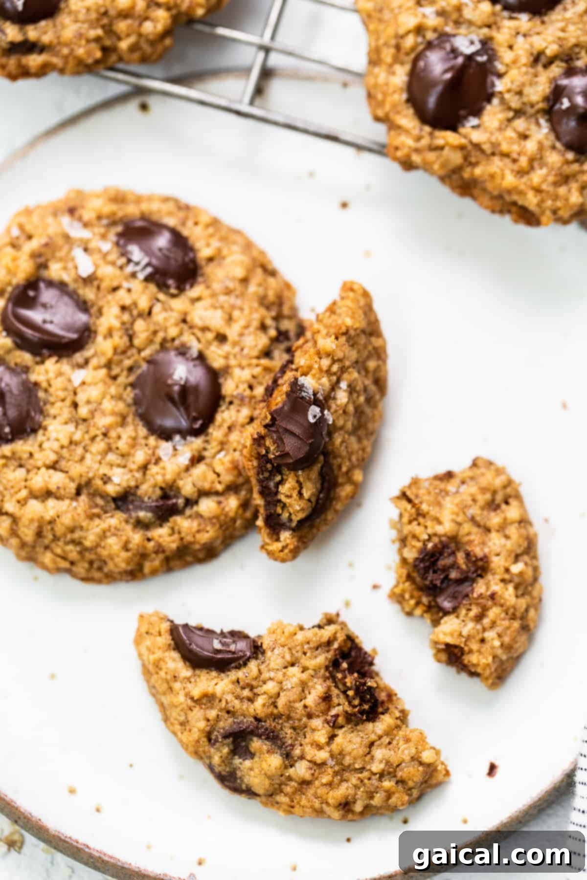 A lactation cookie with a bite taken out, showing its soft and chewy texture.