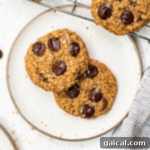 Delicious lactation cookies on a cooling rack.
