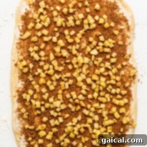 Dough spread with cinnamon sugar filling.