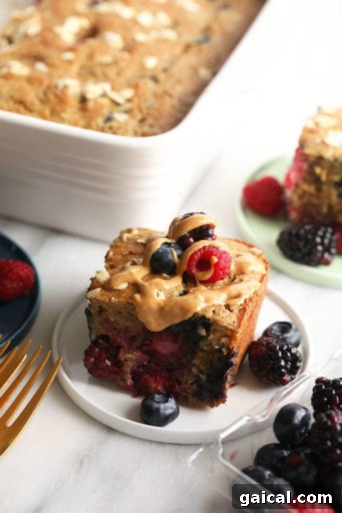Streamlined Morning Meals 5 Berry breakfast bread on a plate