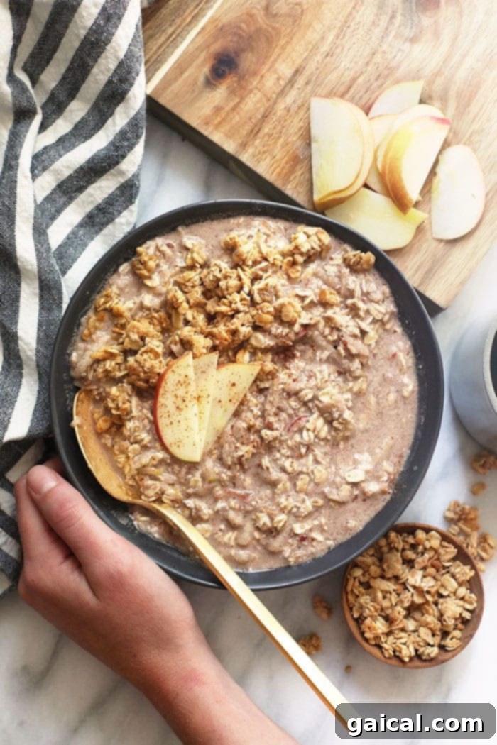 Apple Cinnamon Overnight Oats: Healthy & Dessert-Like Breakfast Apple cinnamon overnight oats