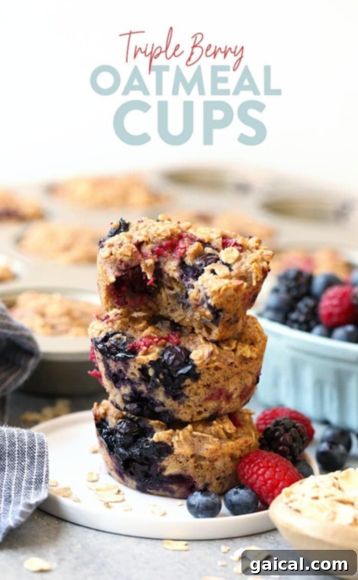 Triple Berry Baked Oatmeal Cups: Healthy & Easy Meal Prep Triple berry oatmeal cups