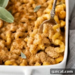 Creamy Butternut Squash Mac and Cheese, generously topped with golden-brown breadcrumbs.