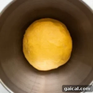 Autumn Pumpkin Swirls 6 A ball of dough in a metal bowl.