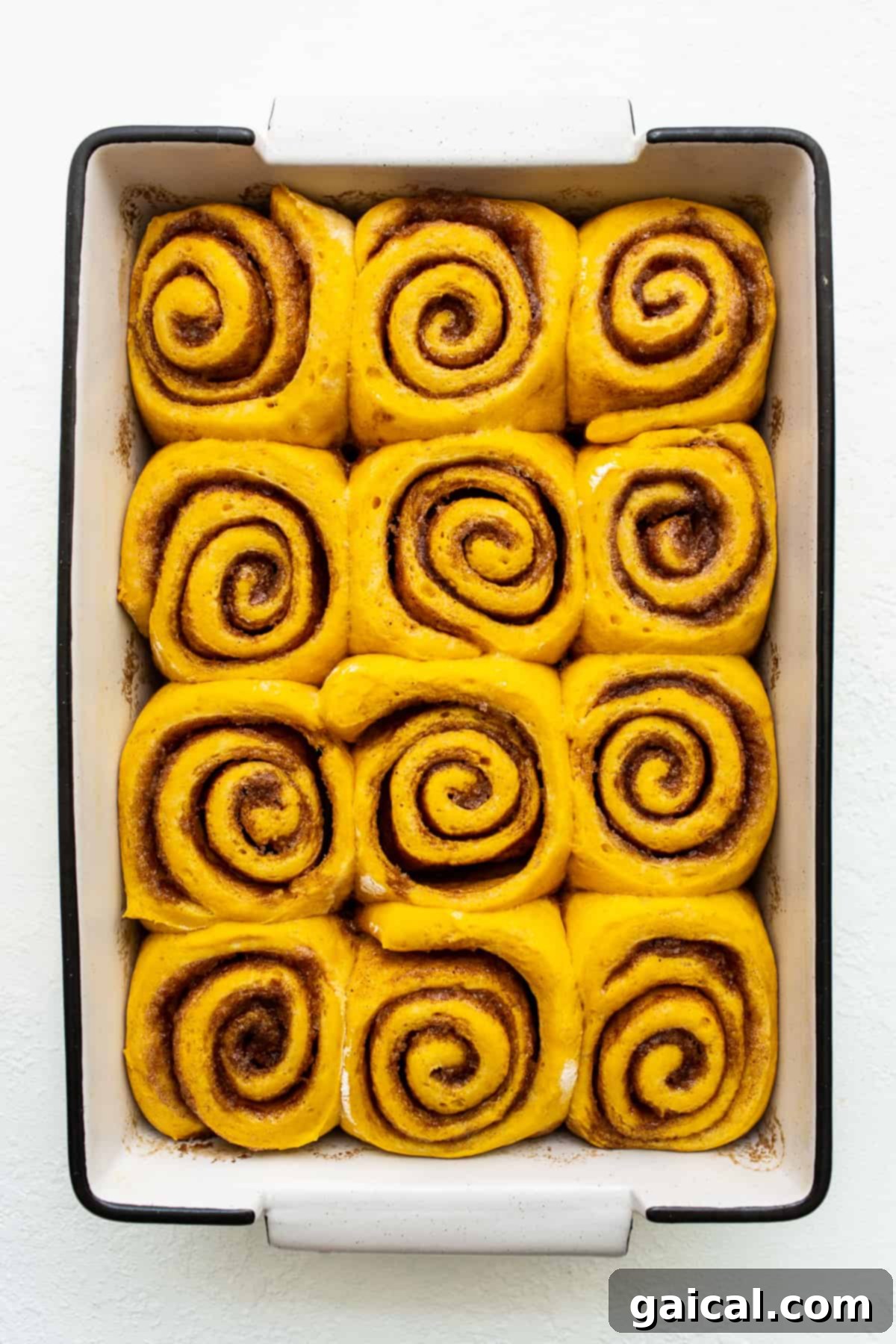 Golden Pumpkin Cinnamon Rolls, Unfrosted Close-up view of golden-brown pumpkin cinnamon rolls fresh out of the oven in a glass baking dish.