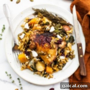 A hearty and comforting Harvest Orzo Skillet presented on a plate, featuring chicken, vegetables, and orzo.