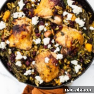 The fully baked and garnished Harvest Orzo Skillet, featuring crispy chicken, orzo, and vegetables, topped with pepitas, cranberries, and goat cheese.