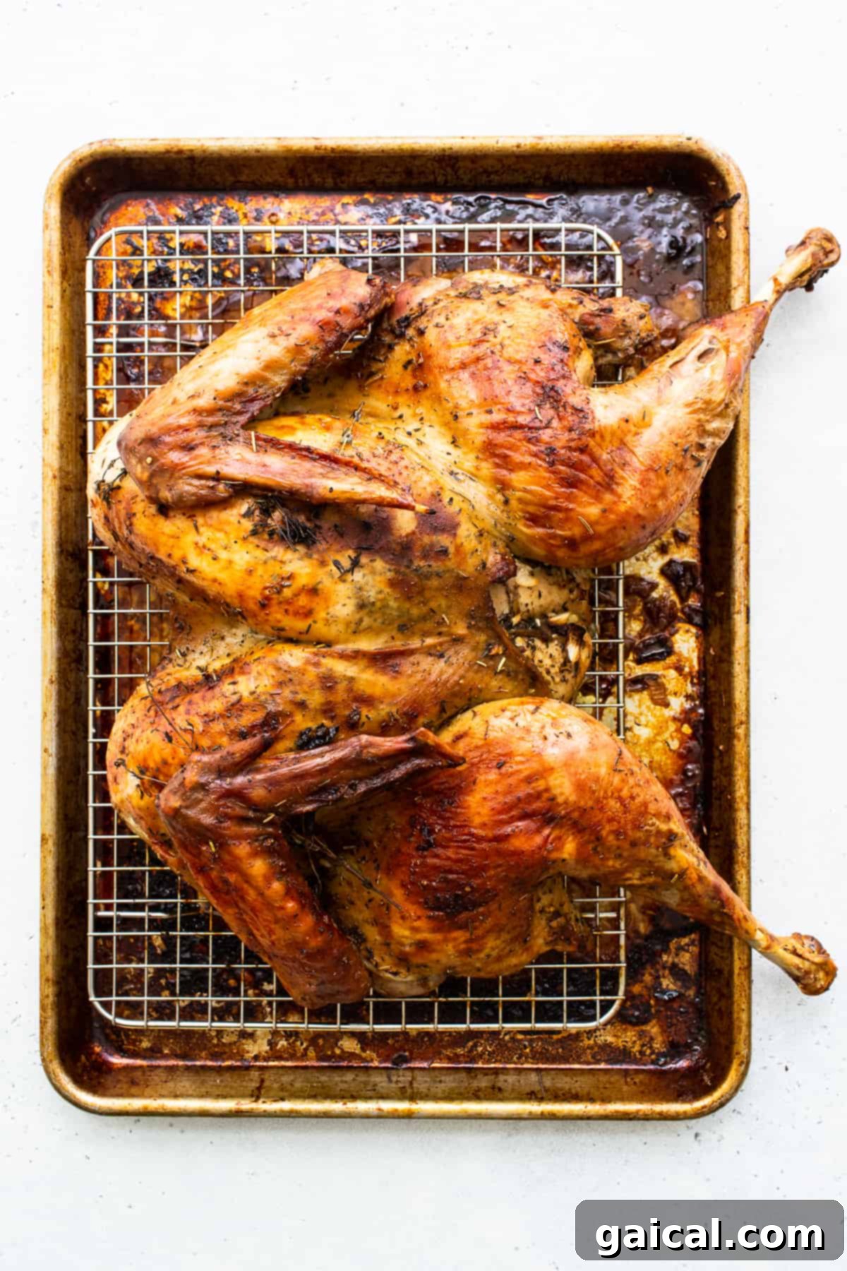 Unlock the Juiciest Turkey Your Dry Brine Blueprint 2 Perfectly roasted dry brined turkey on a baking sheet, ready to be carved.