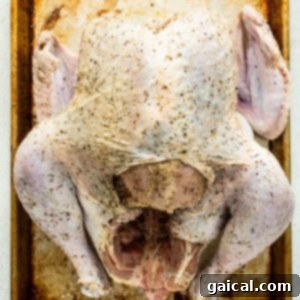 A roasted chicken on a baking sheet, illustrating seasoning technique.
