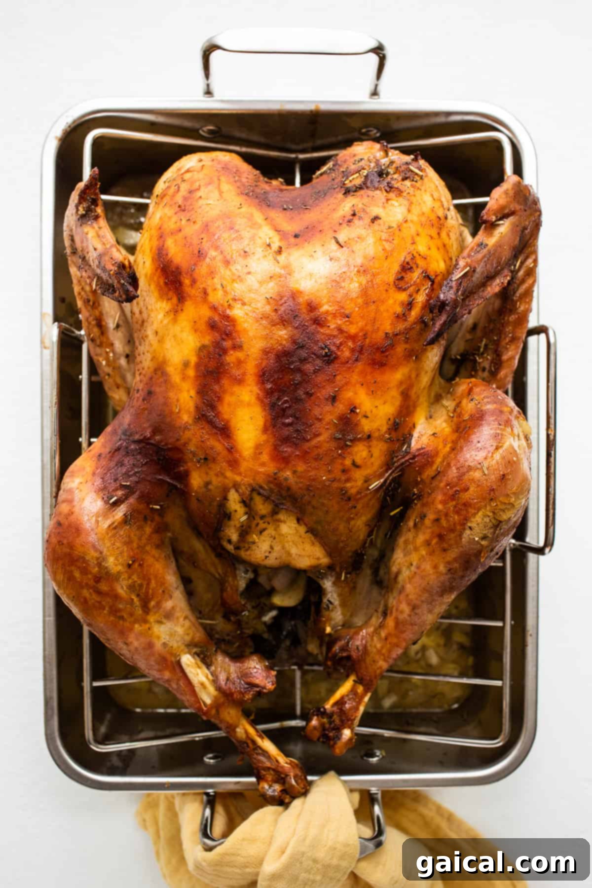 The Ultimate Thanksgiving Turkey Guide 9 A perfectly roasted whole turkey, golden brown and glistening, resting in a large roasting pan filled with savory drippings.